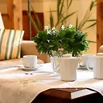 Bed & Breakfast Stella Maris